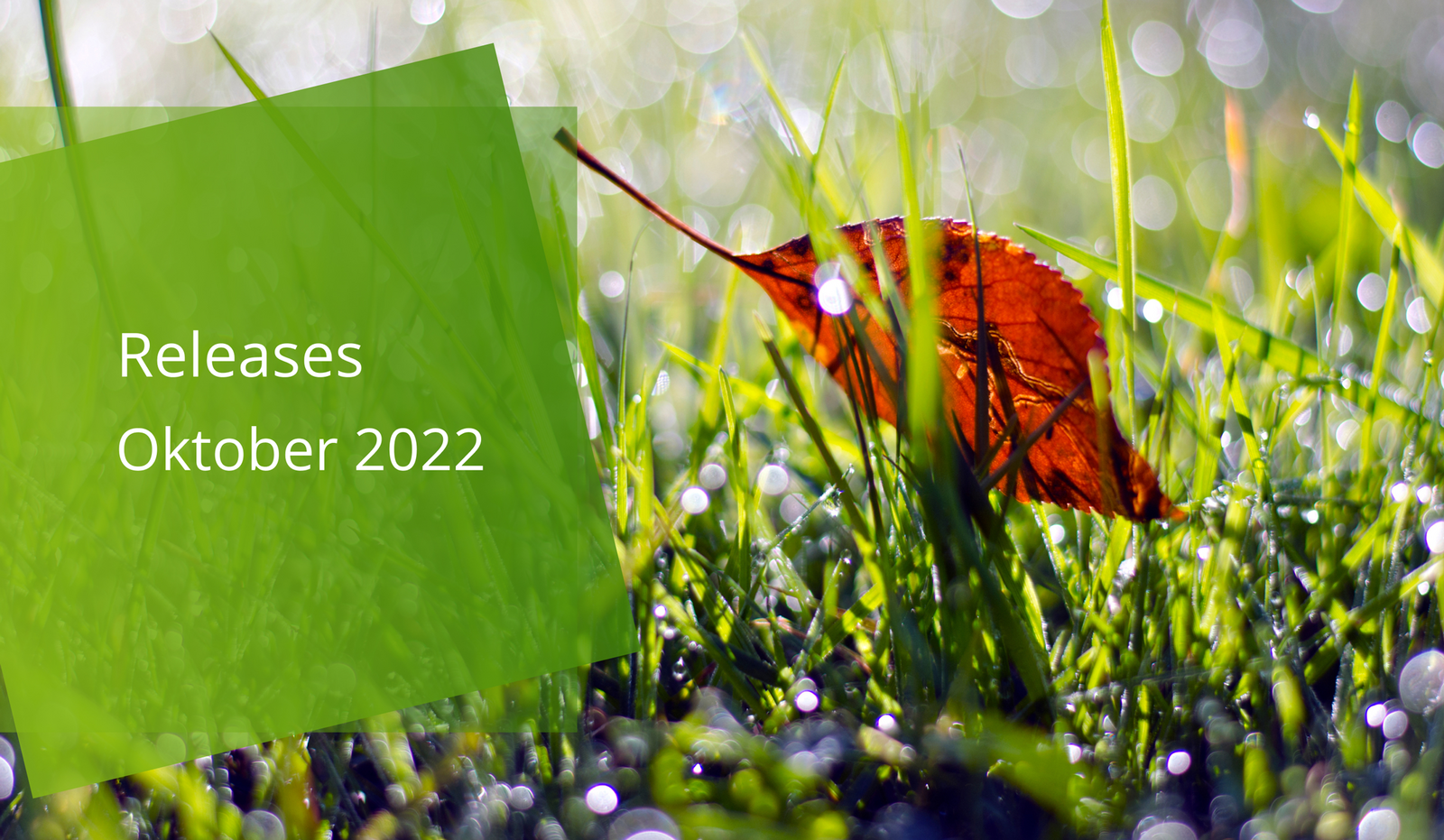 easysquare Release Note 6.151 für Oktober 2022